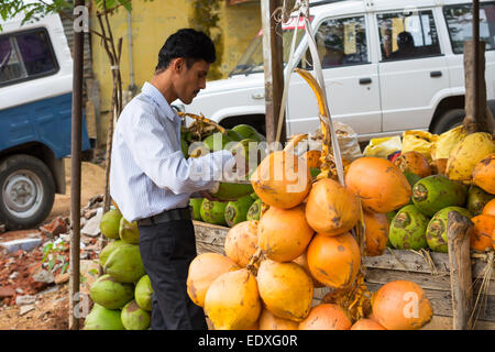TRICHY, INDIA - FEBRUARY 15: An unidentified man stands near the coconuts. India, Tamil Nadu, near Trichy. February 15, 2013 Stock Photo