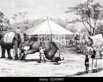 Elephant auction in Mysore, India. Antique illustration from 'The Graphic' weekly newspaper (1875) Stock Photo