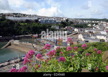 Ilfracombe, North Devon Stock Photo