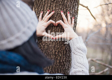 Hands making a heart shape on a tree trunk Stock Photo