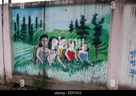 Wall paint Female tea leaves pluckers  work at tea garden. Dhaka  2015. Stock Photo