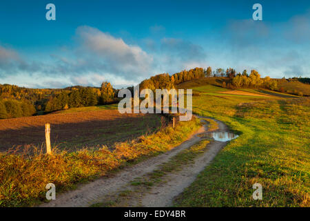 Autumn morning near Smolniki in Suwalki Landscape Park, Poland. Stock Photo