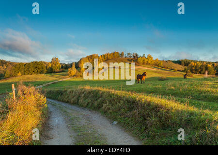 Autumn morning near Smolniki in Suwalki Landscape Park, Poland. Stock Photo