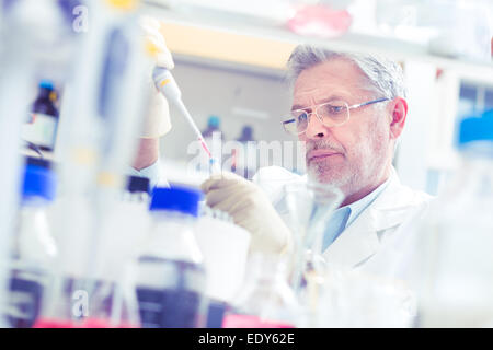Life scientist researching in the laboratory. Stock Photo