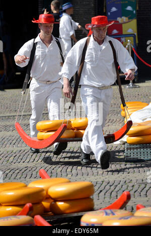 Cheese porters carrying cheese wheels on wooden sledges at the Friday Cheese Market, Waagplein Square, Alkmaar, North Holland, Stock Photo
