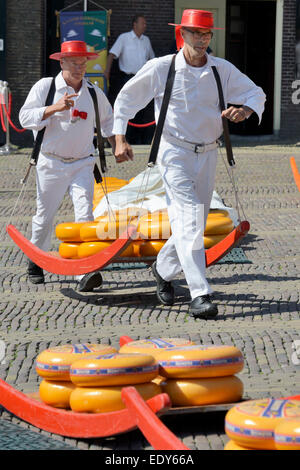 Cheese porters carrying cheese wheels on wooden sledges at the Friday Cheese Market, Waagplein Square, Alkmaar, North Holland, N Stock Photo