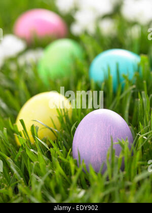 Easter Eggs in green grass Stock Photo