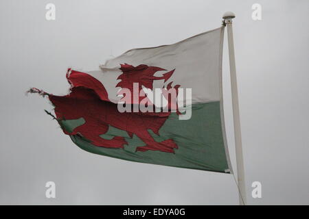 The national flag of Wales boldly flies high defying all that nature can throw at it.. Stock Photo