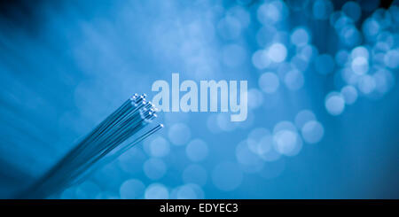 fiber optic filaments on bright blue defocused background Stock Photo