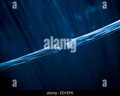 two fiber optic cables connecting on defocused background Stock Photo