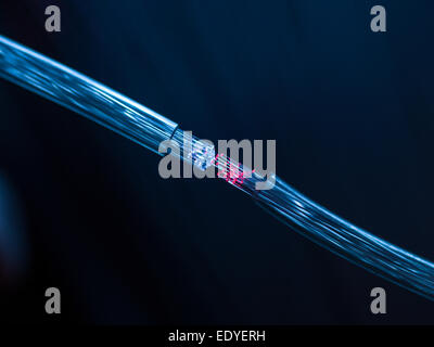two fiber optic cables connecting Stock Photo
