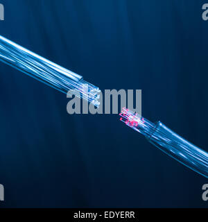 macro of two fiber optic cables connecting on defocused background Stock Photo