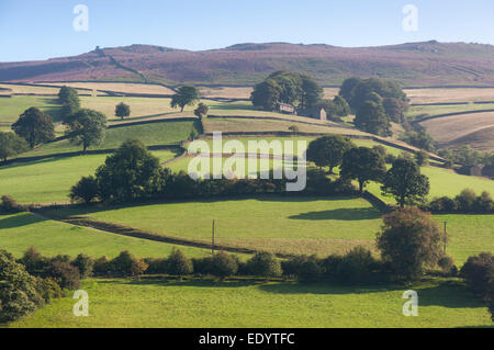 Fields leading up to Derwent edge in the Peak District. Soft summer sunshine. Stock Photo