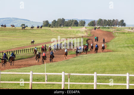 Race horse  rider jockey training tracks dawn colors running closeup action Stock Photo