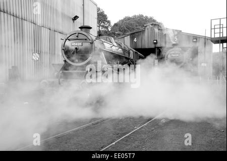 Steam engines Eric Treacy and the Green Knight Grosmont engine sheds on the North Yorkshire Moors railway Stock Photo