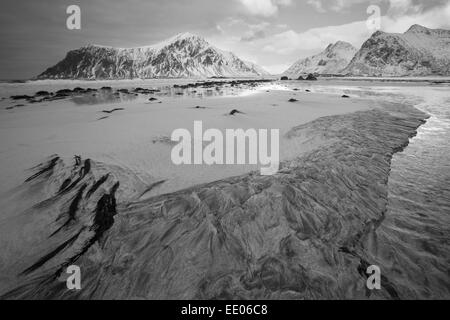 Sandy beach at Flakstad, Lofoten Islands, arctic Norway with seaweed in foreground, snowy mountains in background. Monochrome. Stock Photo