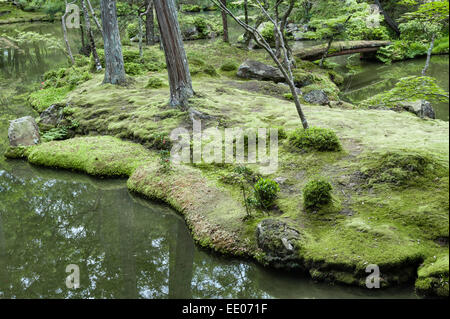 Saiho-ji zen temple (Koke-dera, the Moss Temple), Kyoto, Japan. Moss thickly covers the ground in this woodland garden Stock Photo