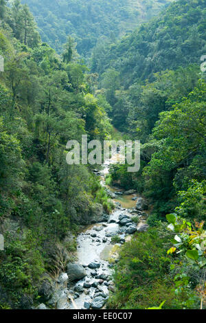 Dominikanische Republik, Cordillera Central, Jarabacoa, am Weg zum Wasserfall Salto Baiguate Stock Photo