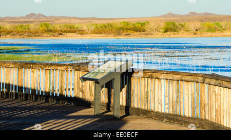 Flight Deck viewing area, Bosque del Apache National Wildlife Refuge, New Mexico USA Stock Photo