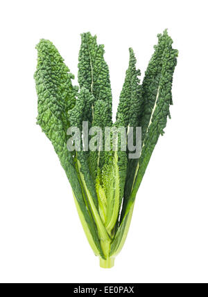 black cabbage, italian kale isolated on white background