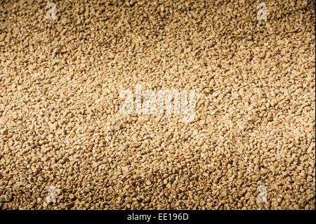 Background texture of green un-roasted coffee beans. Stock Photo