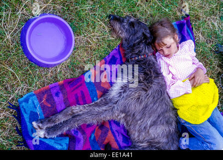 Irish Wolfhound dog and child sleeping on a blanket Stock Photo