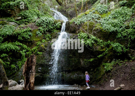 Young girl looking up at Arroyo de San Jose Waterfall, Novato, California, USA Stock Photo