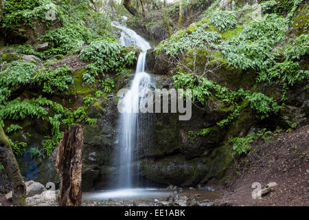 Arroyo de San Jose waterfall, Novato, California, USA Stock Photo