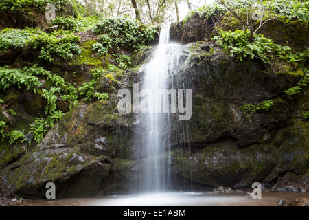 Arroyo de San Jose Waterfall, Novato, California, USA Stock Photo