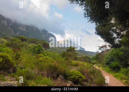 Kirstenbosch Gardens on a partly cloudy day with pathway