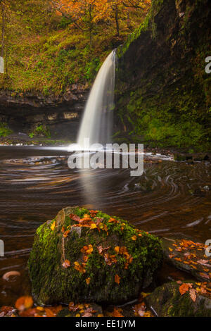 Sgwd Gwladys (Lady Falls), Afon Pyrddin, near Pontneddfechan, Brecon Beacons National Park, Powys, Wales, United Kingdom, Europe Stock Photo