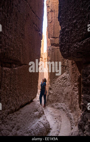 Woman standing in the sandstone chimneys in the Cathedral Gorge State Park, Nevada, United States of America, North America Stock Photo