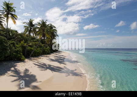 A deserted beach and tropical vegetation on an island in the Northern Huvadhu Atoll, Maldives, Indian Ocean, Asia Stock Photo