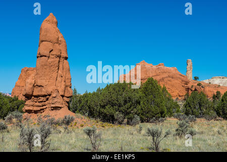 Sandstone chimneys in the Kodachrome Basin State Park, Utah, United States of America, North America Stock Photo