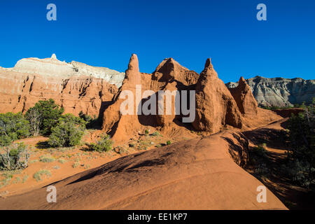 Redrock sandstone formations in the Kodachrome Basin State Park, Utah, United States of America, North America Stock Photo