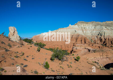 Redrock sandstone formations in the Kodachrome Basin State Park, Utah, United States of America, North America Stock Photo