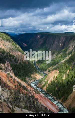 The colourful Grand Canyon of the Yellowstone, Yellowstone National Park, UNESCO World Heritage Site, Wyoming, USA Stock Photo