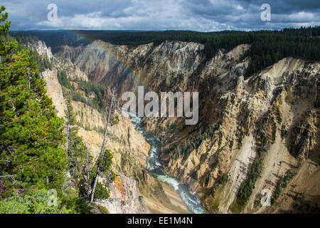 The colourful Grand Canyon of the Yellowstone, Yellowstone National Park, UNESCO World Heritage Site, Wyoming, USA Stock Photo