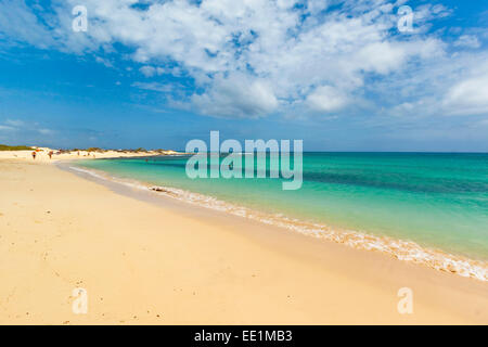 Looking north on one of the beautiful sandy beaches south of this resort town, Corralejo, Fuerteventura, Canary Islands, Spain Stock Photo