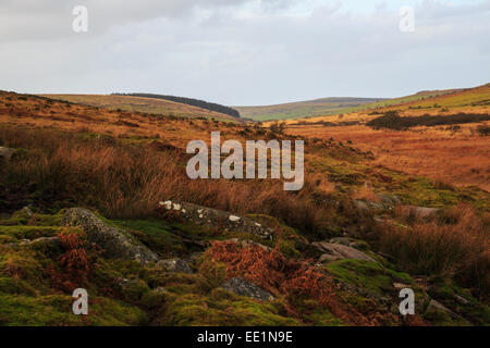 Creative Gland - Ideas, tips and thoughts for design & illustration:  Photo's from Gold Digging's Quarry on Bodmin Moor