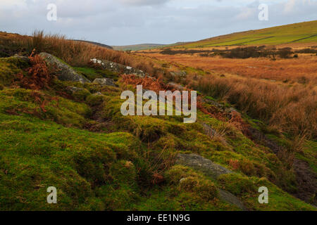 Gold-diggings Quarry, Craddock Moor, St Cleer, Liskeard District, Cornwall