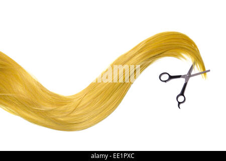 Long golden blonde hair with professional scissors, isolated on white background Stock Photo