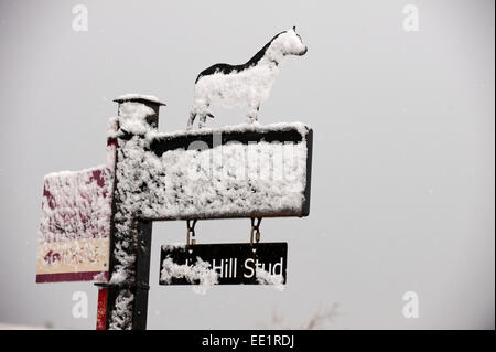 Mynydd Epynt Range of hills, Powys, Wales,  UK. 13th January, 2015. A Stud Farm sign is coated with fresh snow on the Epynt moorland. Snow falls in Mid Wales as predicted by the weather forecasts. Credit:  Graham M. Lawrence/Alamy Live News. Stock Photo