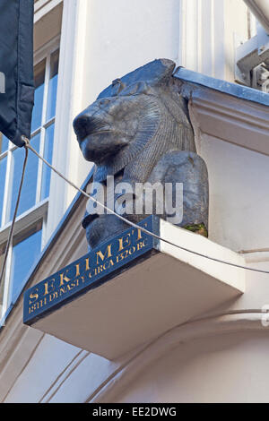 Ancient Egyptian Statue of Sekhmet in a Library Setting in London Stock ...