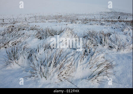 Mynydd Epynt Range of hills, Powys, Wales, UK. 13th January, 2015. A snowy barren landscape on the Epynt range of hills in Powys. Snow falls in Mid Wales as predicted by the weather forecasts. Credit:  Graham M. Lawrence/Alamy Live News. Stock Photo