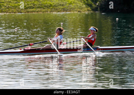Rowing race at Zagreb Jarun Stock Photo