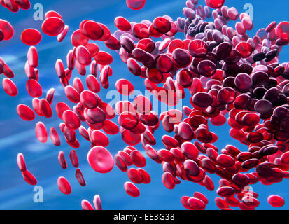 Blood - erythrocytes Stock Photo