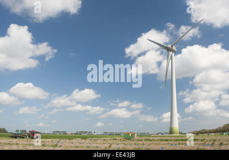 Windfarm producing alternative energy Stock Photo
