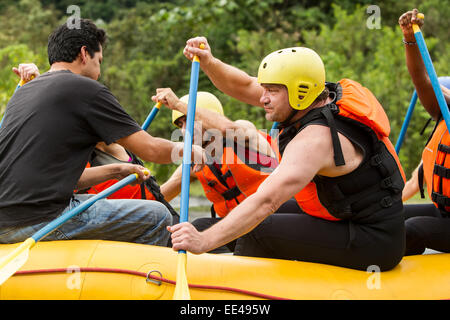 A group of people are actively paddling in a bright yellow inflatable raft. They are wearing safety gear including yellow helmets and orange life vests. The individuals are seated in a row, gripping Stock Photo