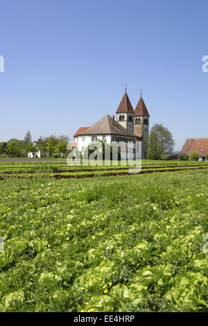 Deutschland, Bodensee, Europa, Baden-Wuerttemberg, Sehenswuerdigkeit, Tourismus, Insel Reichenau, Niederzell, Kirche, St,  Peter Stock Photo